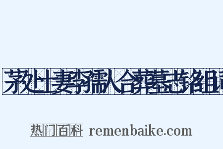 茅处士妻李孺人合葬墓志铭组词是什么意思的图片